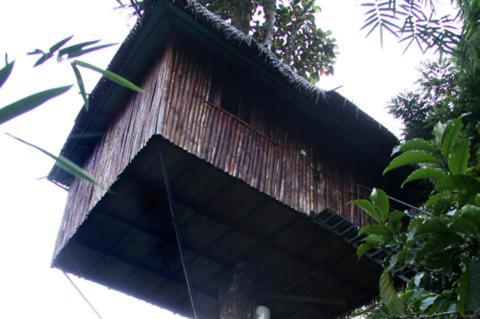 Coffee Acres Plantation Resort Kalpetta Ruang foto
