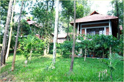 Coffee Acres Plantation Resort Kalpetta Bagian luar foto